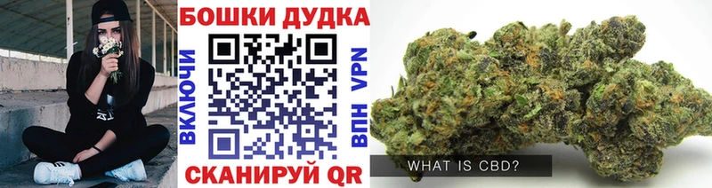 Магазины продажи наркотиков Пустошка Кокаин 
