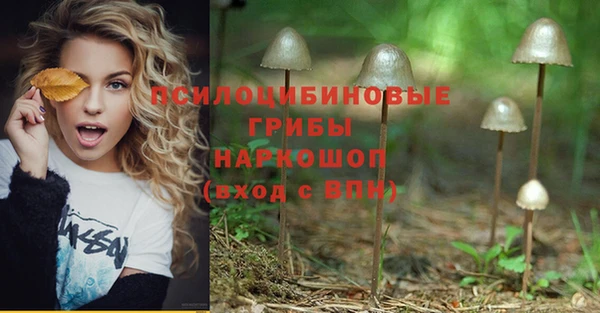 Альфа ПВП Арсеньев
