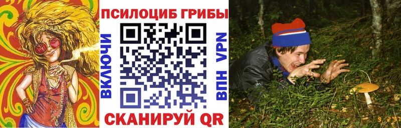 Псилоцибиновые грибы мицелий  где продают наркотики  hydra зеркало  Пустошка 